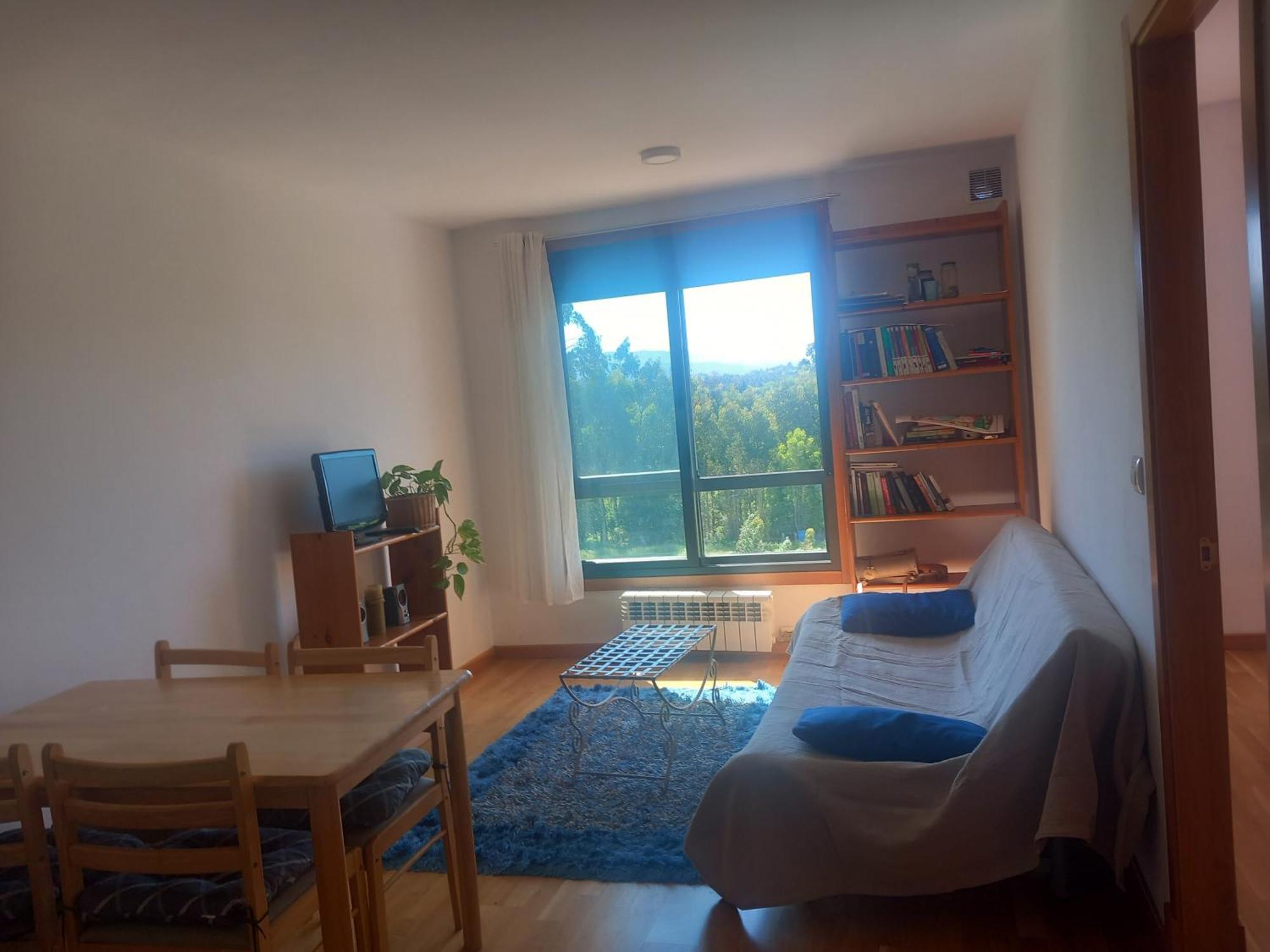 Apartamento Centrico Salvaterra Apartment Salvatierra de Mino Cameră foto